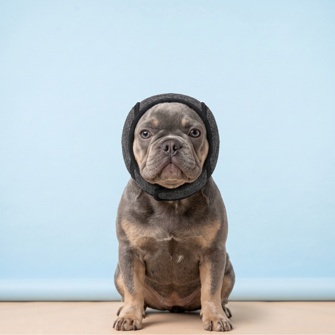 Orejeras antiruido para perros nerviosos