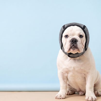 Orejeras antiruido para perros nerviosos